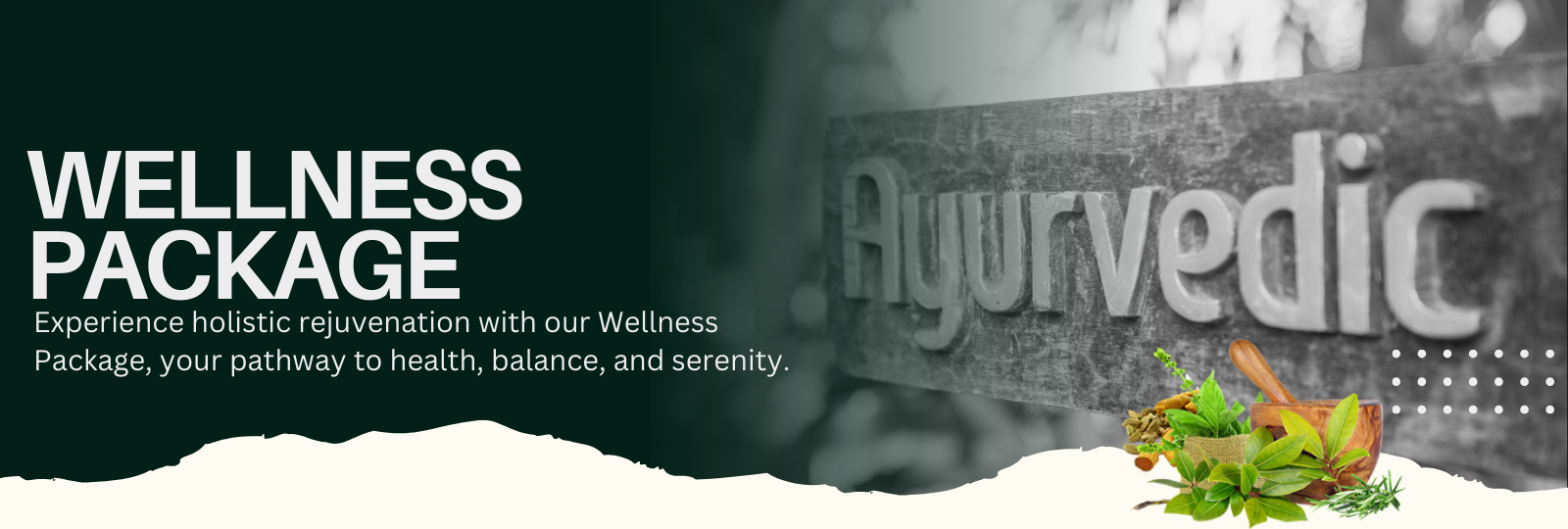 WELLNESS PACKAGE